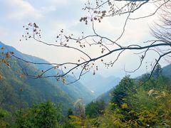 -东天目山风景区