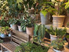 -自由生长植物工作室(深港花卉中心店)