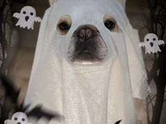 -好利来(红牌楼店)