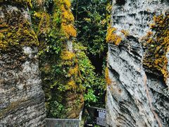 -梭布垭石林景区