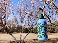 -宜家家居(四元桥商场店)