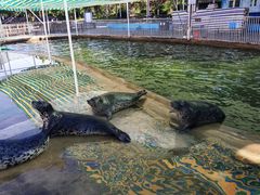 -渔岛海洋度假区