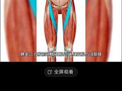 -裕和堂中医推拿艾灸(太古汇臻品店)