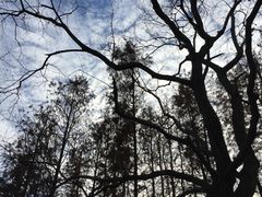 -白塘生态植物园