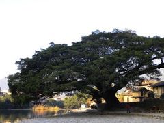 -福建土楼(南靖)景区