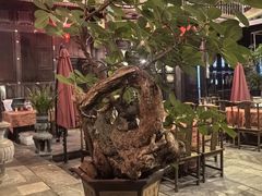 -一颗印(懋庐店)