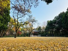-汇龙潭