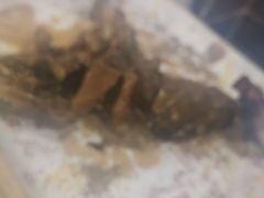 -活鱼馆(宜兴埠店)