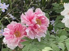 -玄武湖景区-情侣园游乐场