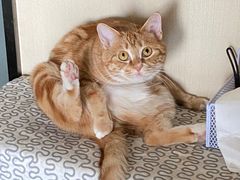 -不作·手工银饰DIY(西红门店)