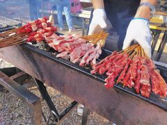 -南宁良凤江国家森林公园