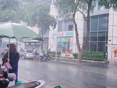 -胡志明市美术馆