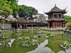 -碧江金楼