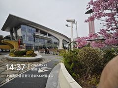 -新江湾城公园