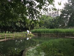 -成都市活水公园