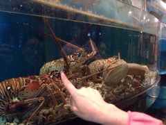 iphone_upload_pic-皇宫大酒店