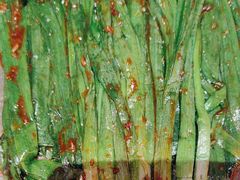 烤韭菜-肉串汪(望京店)