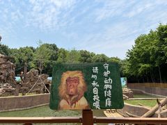-合肥野生动物园