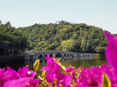 -李小龙乐园(顺德均安店)