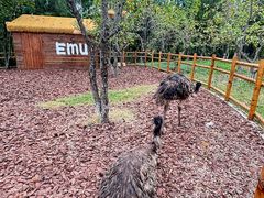-茅山东方盐湖城景区