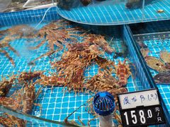 -大锅强·蒸海鲜青岛菜(吾悦广场店)