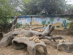 -上海野生动物园