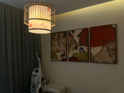 -POCO宝珂丽科技美肤