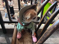-東茅街茶馆