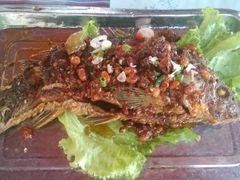 东巴烤鱼-88号小吃店·经典云南菜·地道纳西美食