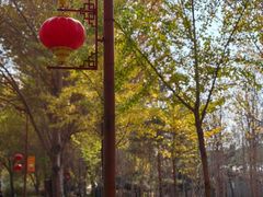 -长春公园(普阳街道)