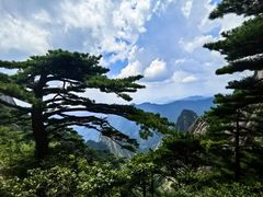 -黄山风景区