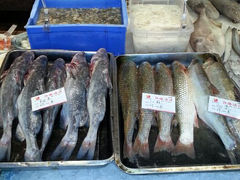 android_upload_pic-江海渔港(姚港路店)