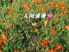 -五通灯塔公园