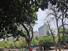 -西苑公园