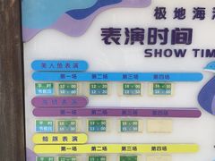 -石家庄极地海洋世界
