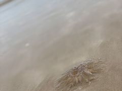 -月亮湾