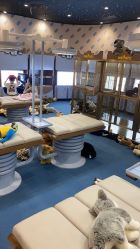 -奈尔宝·儿童乐园·亲子餐厅(鄞州万达店)