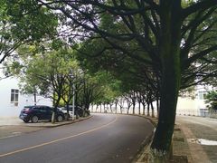-西南林业大学(白龙校区)