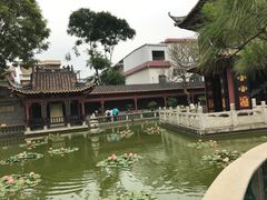 -碧江金楼