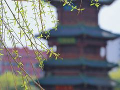 -迎泽公园