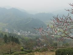 -石潭村