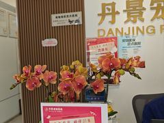 -丹景宠物医院·全科·老年病·牙科(武昌诊疗中心)
