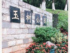 -玉树公园