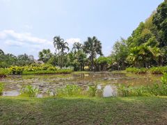 -中国科学院西双版纳热带植物园
