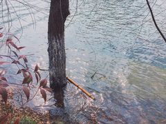 -宁波九龙湖开元度假村