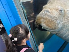 -海合安成都极地海洋公园