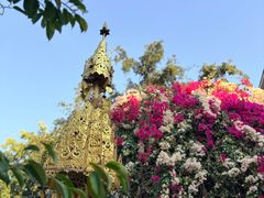 -品德宏·孔雀宴的发源地(金塔园店)