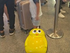-南宁吴圩国际机场-T2航站楼