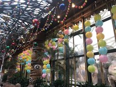 -杭州开元森泊度假乐园