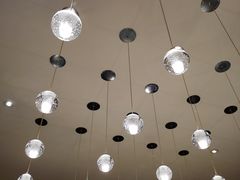 -君悦酒店·1881·北京烤鸭